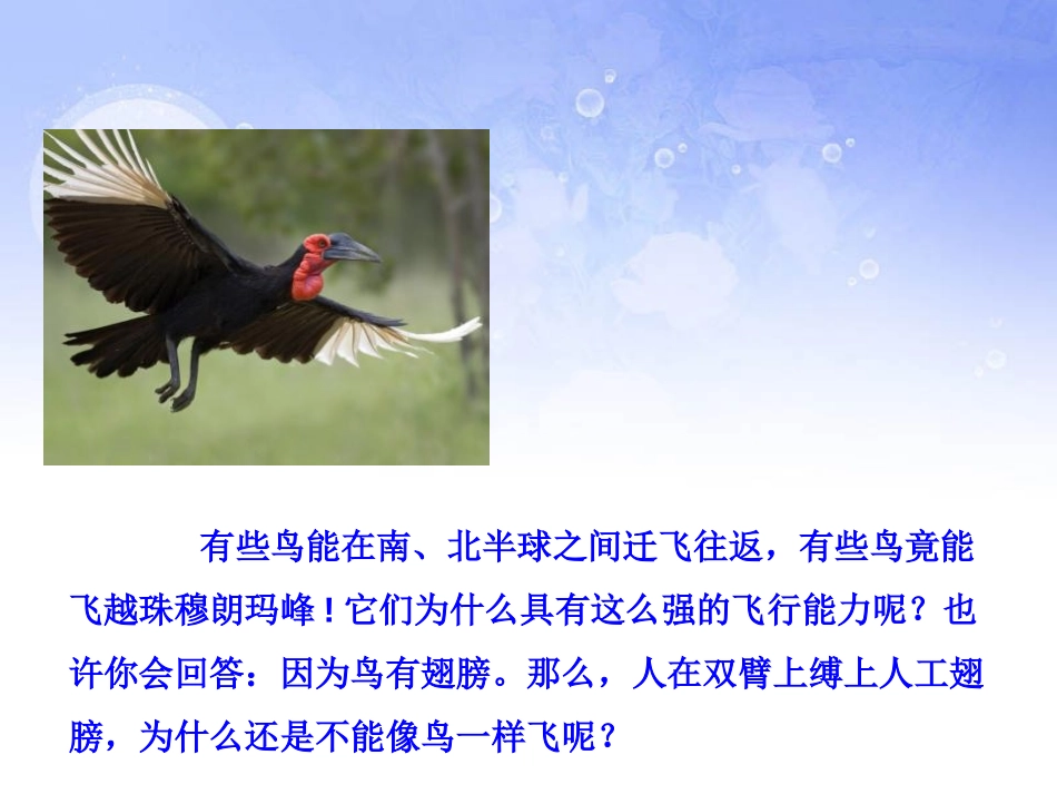 《鸟》动物的主要类群PPT课件[人教版八年级生物上册]_第2页
