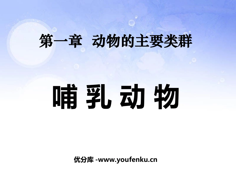 《哺乳动物》动物的主要类群PPT课件[人教版八年级生物上册]_第1页