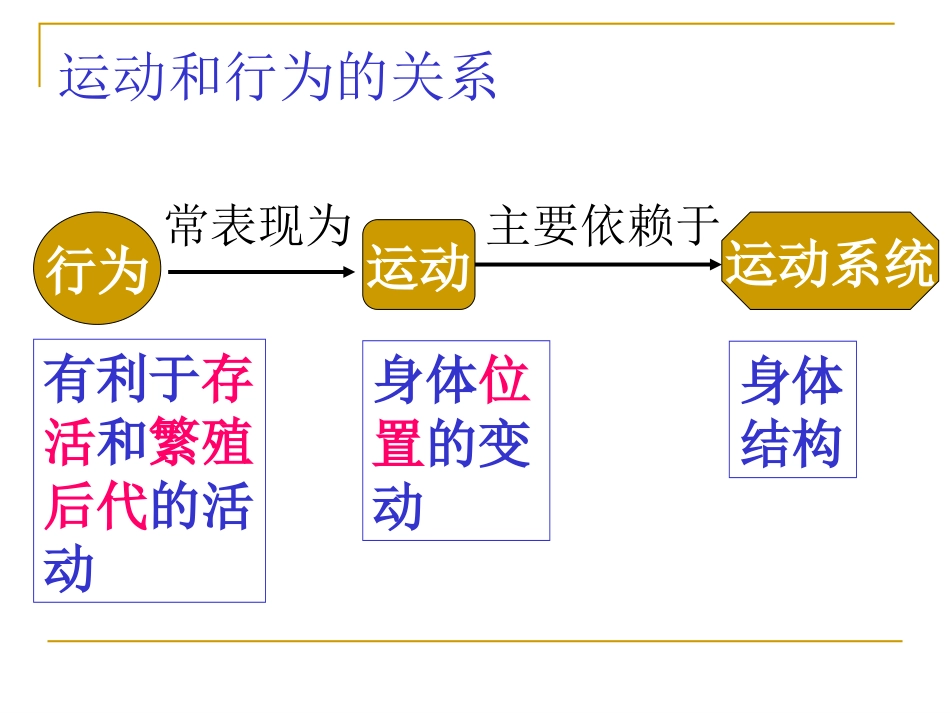 《动物的运动》动物的运动和行为PPT课件[人教版八年级生物]_第2页