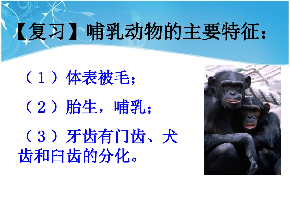 《动物的运动》动物的运动和行为PPT课件[人教版八年级生物]_第2页