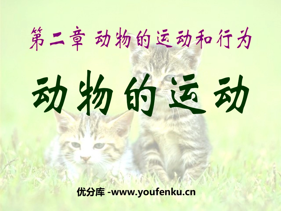 《动物的运动》动物的运动和行为PPT课件[人教版八年级生物]_第1页