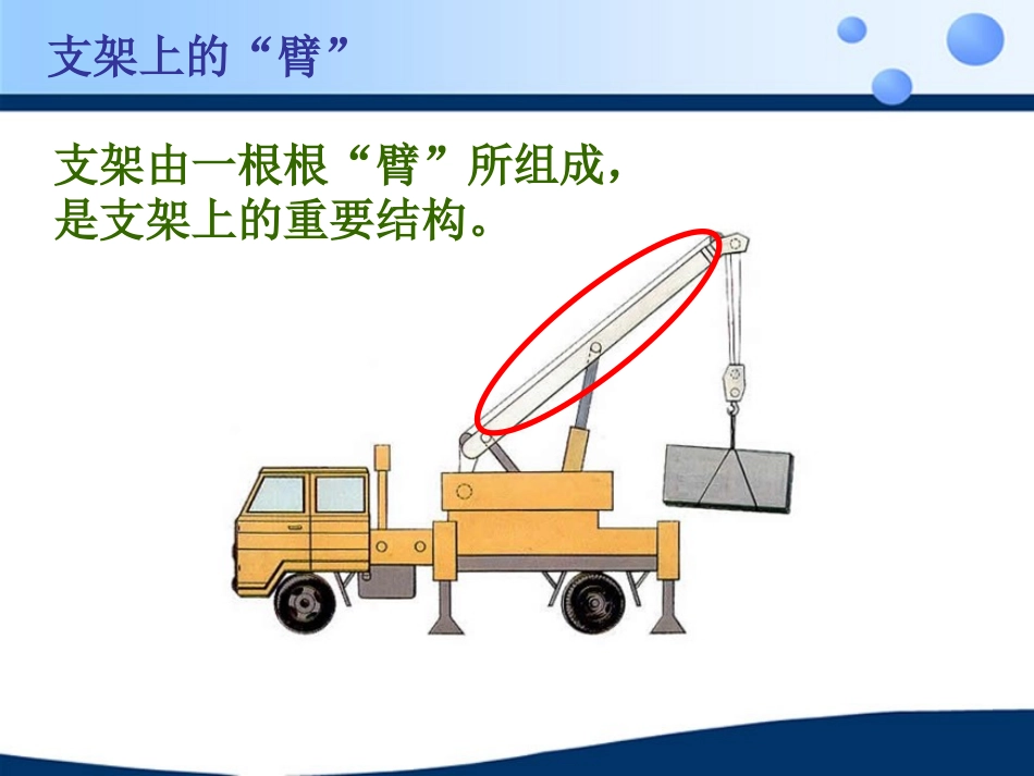 《动物的运动》动物的运动和行为PPT课件[人教版八年级生物]_第3页