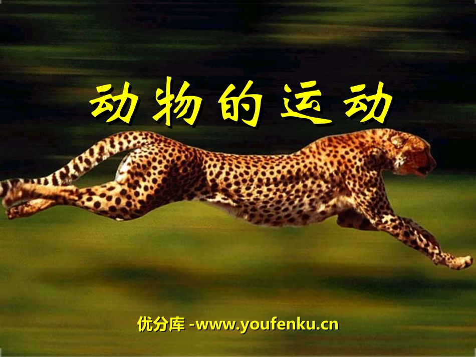 《动物的运动》动物的运动和行为PPT课件[人教版八年级生物]_第1页