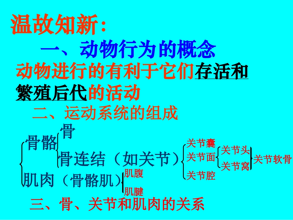 《先天性行为和学习行为》动物的运动和行为PPT课件_第2页