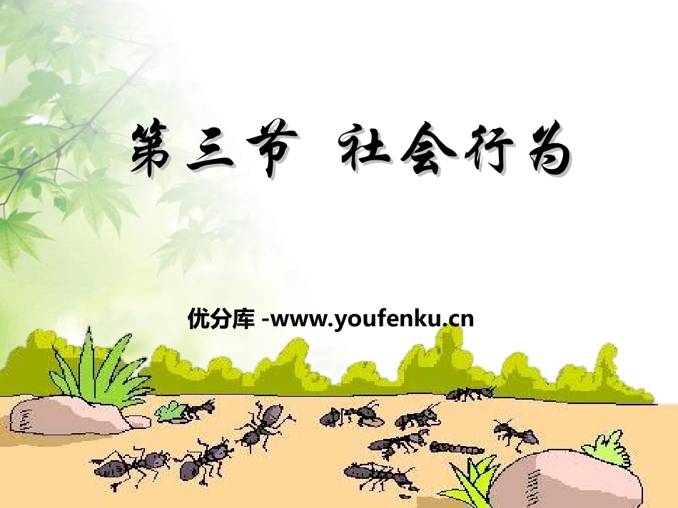 《社会行为》动物的运动和行为PPT课件[人教版八年级生物]_第1页