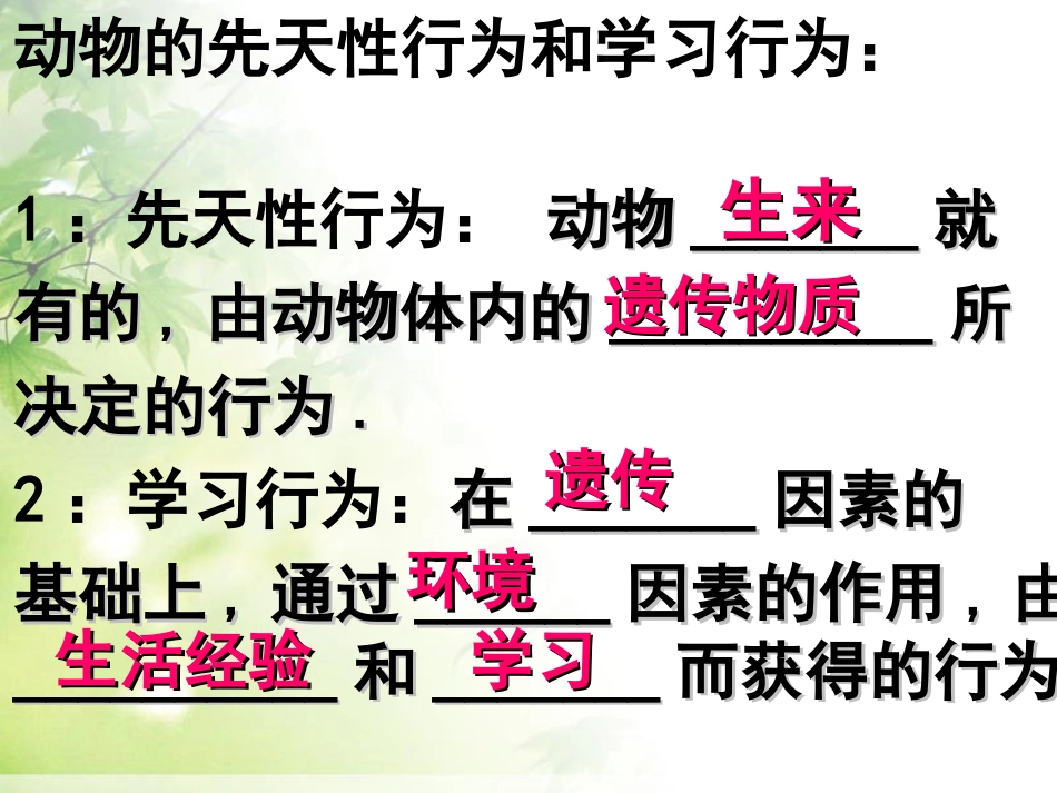 《社会行为》动物的运动和行为PPT课件[人教版八年级生物]_第2页