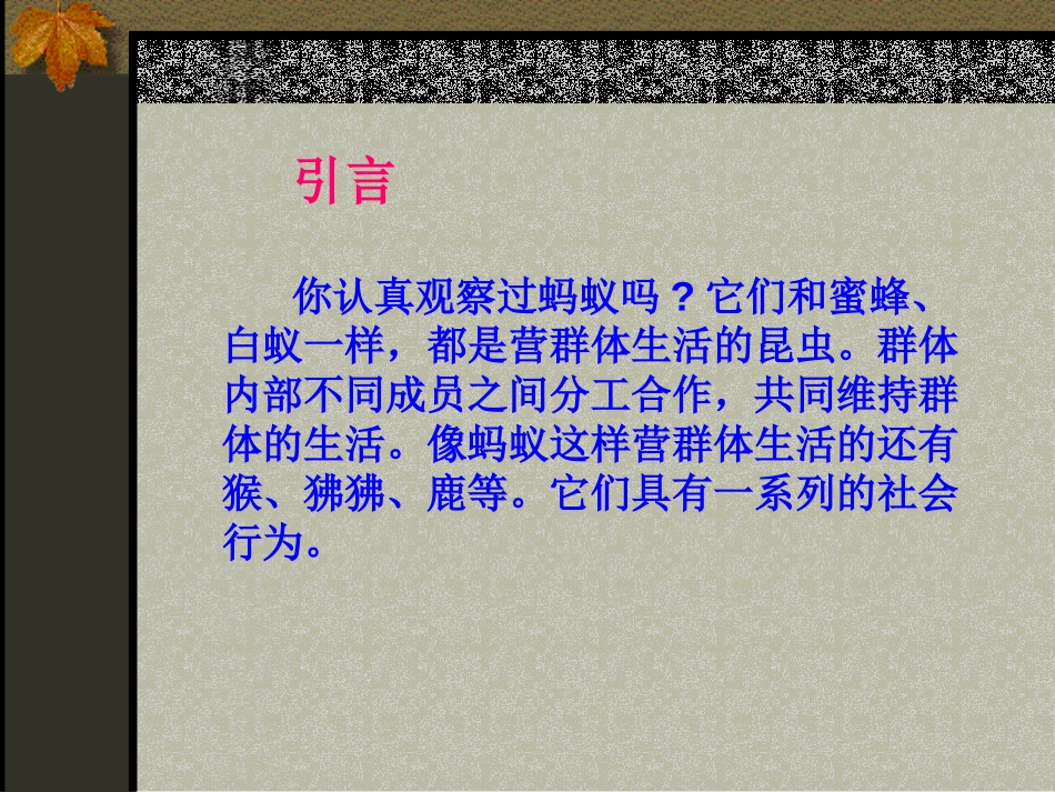 《社会行为》动物的运动和行为PPT课件[人教版八年级生物]_第2页
