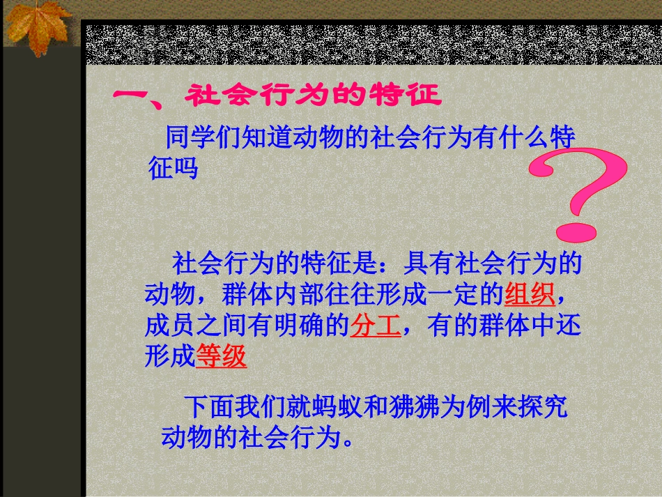 《社会行为》动物的运动和行为PPT课件[人教版八年级生物]_第3页