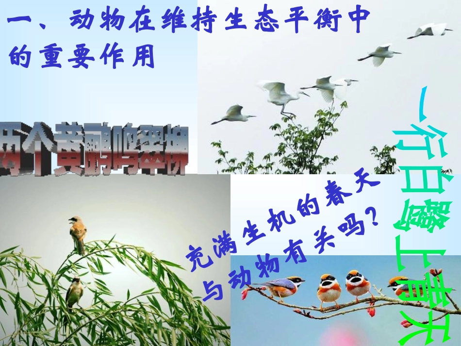 《动物在生物圈中的作用》PPT课件[人教版八年级生物上册]_第3页
