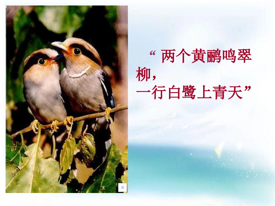 《动物在生物圈中的作用》PPT课件[人教版八年级生物上册]_第1页