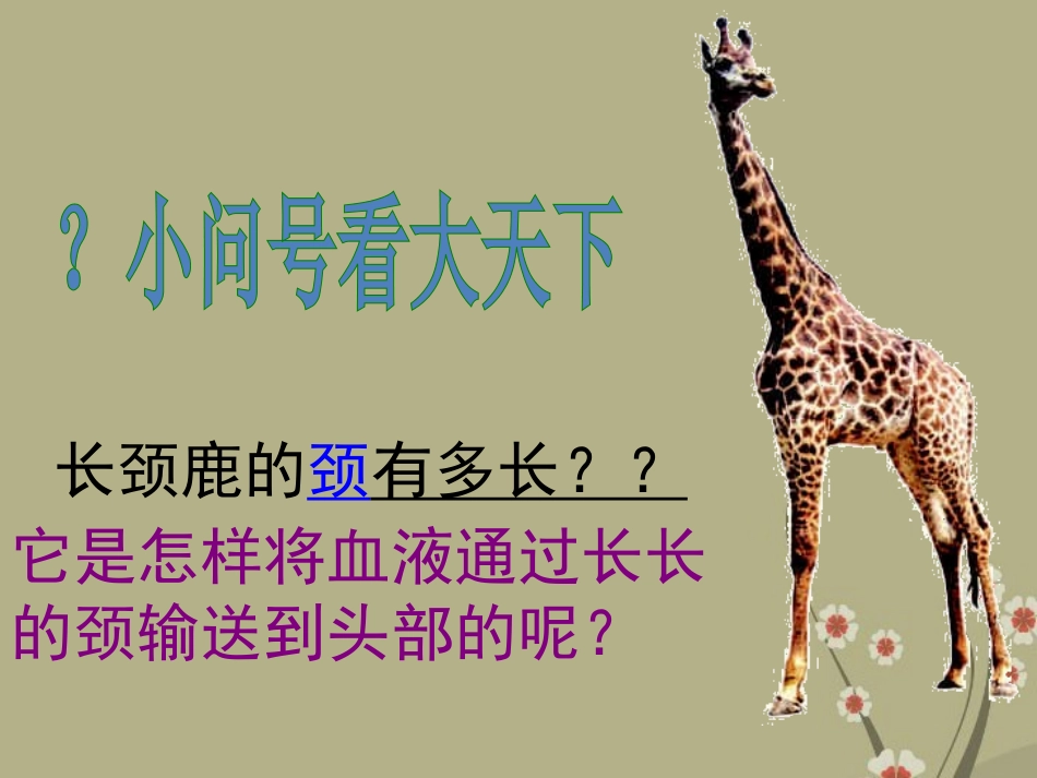 《动物在生物圈中的作用》PPT课件[人教版八年级生物上册]_第2页