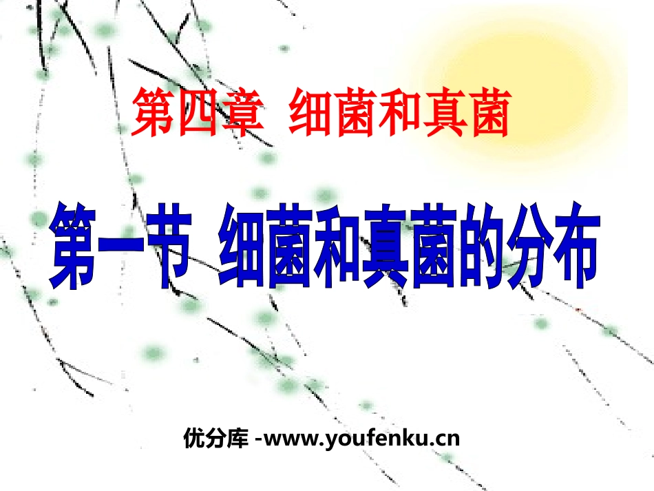 《细菌和真菌的分布》细菌和真菌PPT课件[人教版八年级生物]_第1页