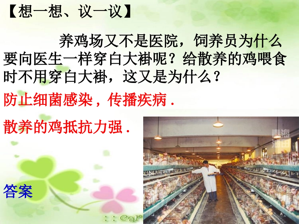 《细菌和真菌的分布》细菌和真菌PPT课件[人教版八年级生物]_第2页