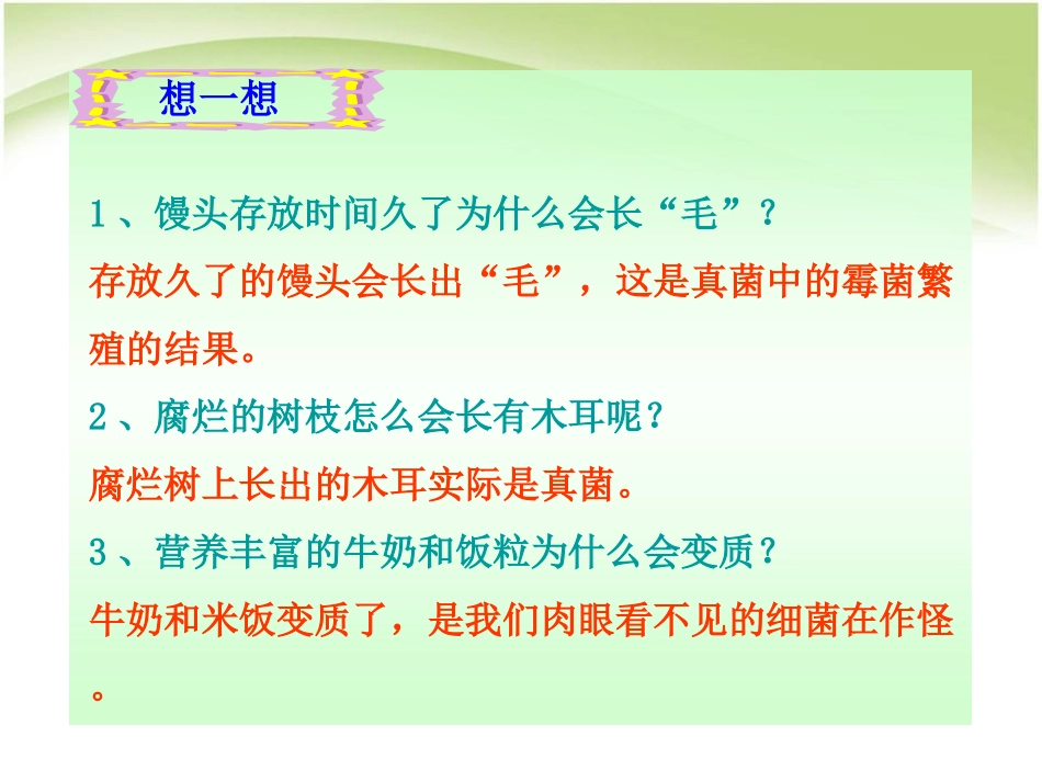 《细菌和真菌的分布》细菌和真菌PPT课件[人教版八年级生物]_第3页