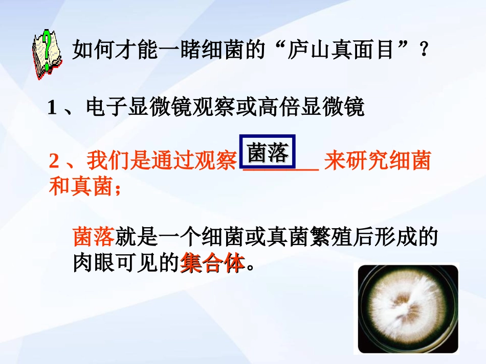 《细菌和真菌的分布》细菌和真菌PPT课件[人教版八年级生物]_第3页