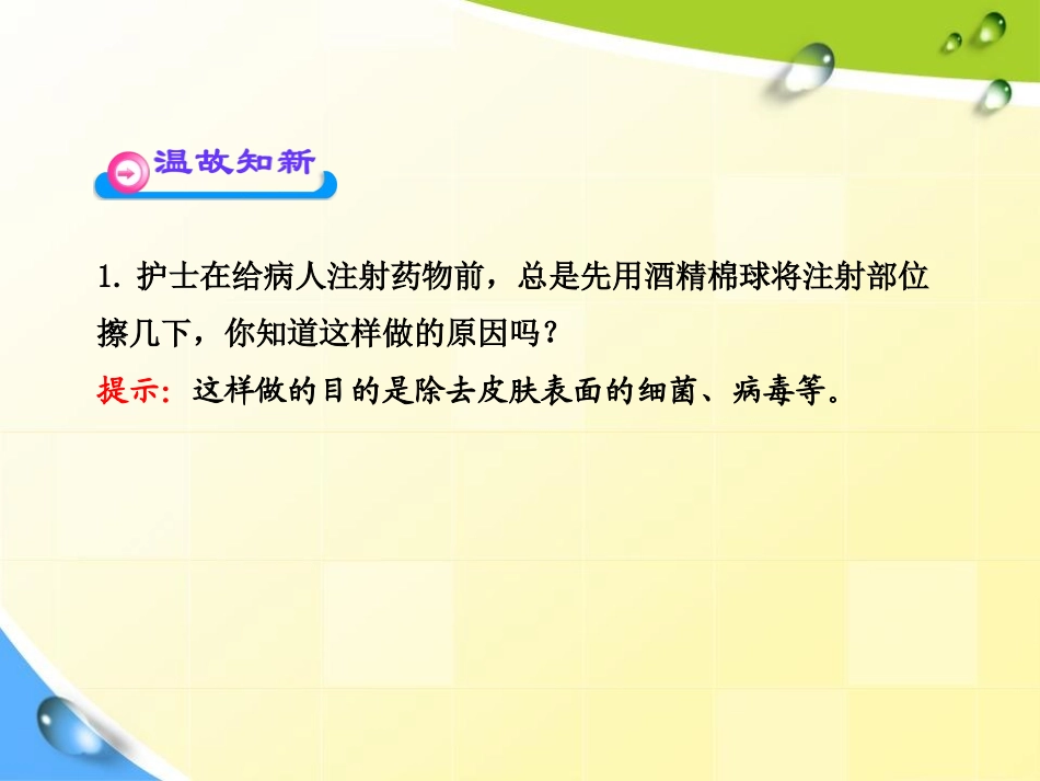 《细菌和真菌的分布》细菌和真菌PPT课件[人教版八年级生物]_第3页