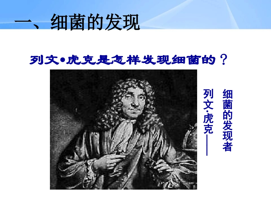 《细菌》细菌和真菌PPT课件[人教版八年级生物上册]_第2页