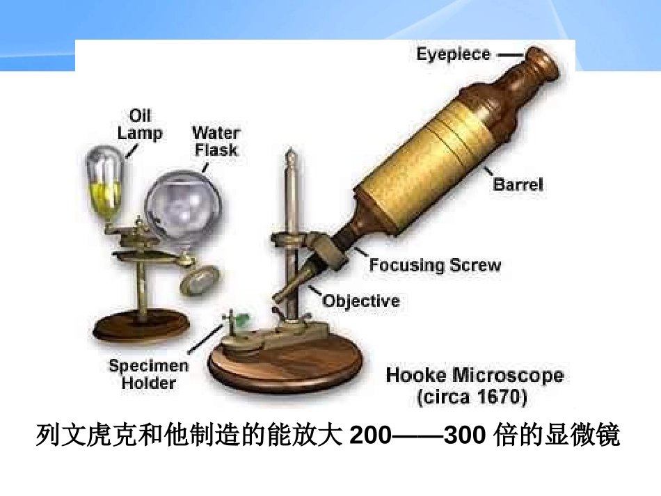 《细菌》细菌和真菌PPT课件[人教版八年级生物上册]_第3页