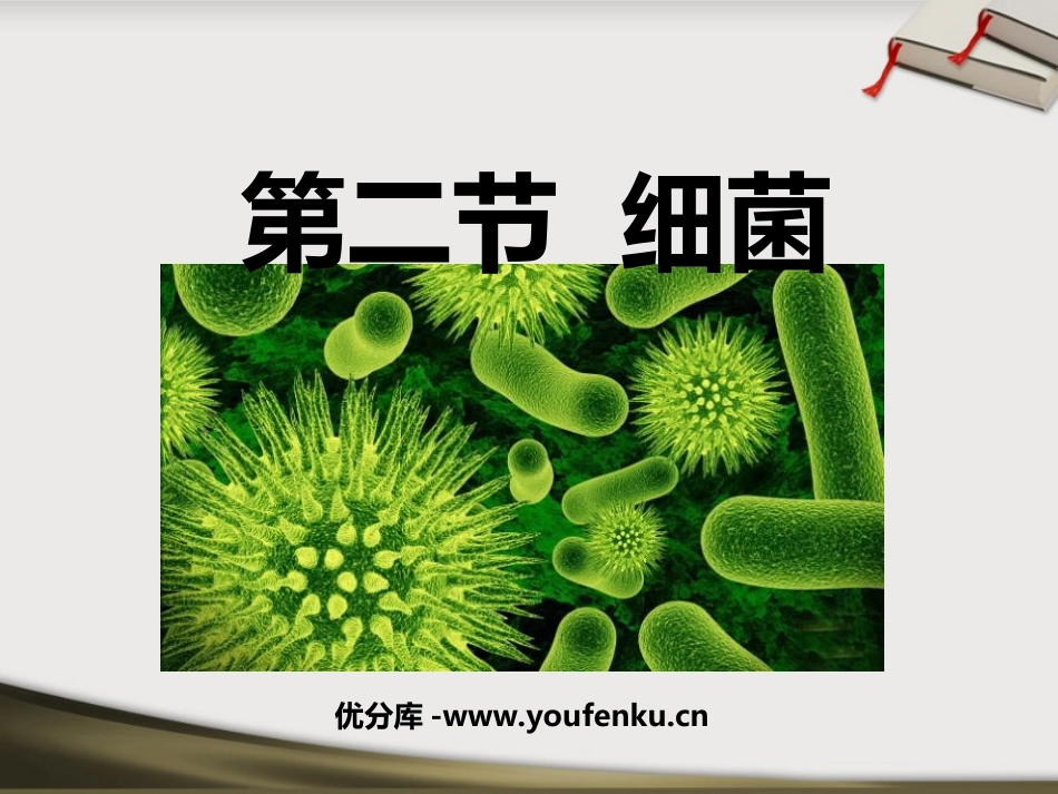 《细菌》细菌和真菌PPT课件[人教版八年级生物上册]_第1页
