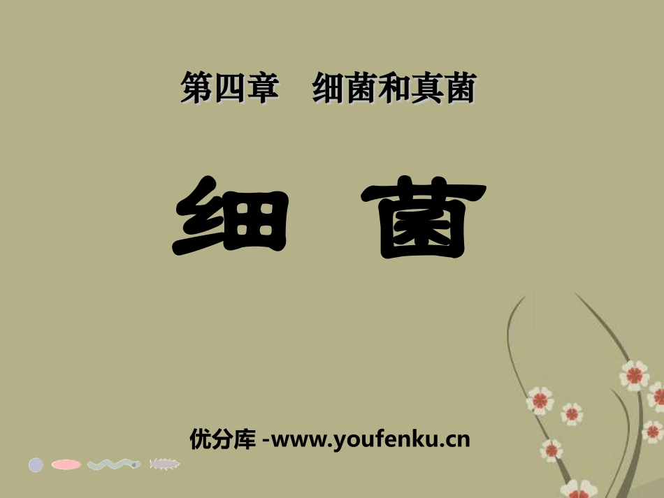 《细菌》细菌和真菌PPT课件[人教版八年级生物上册]_第1页