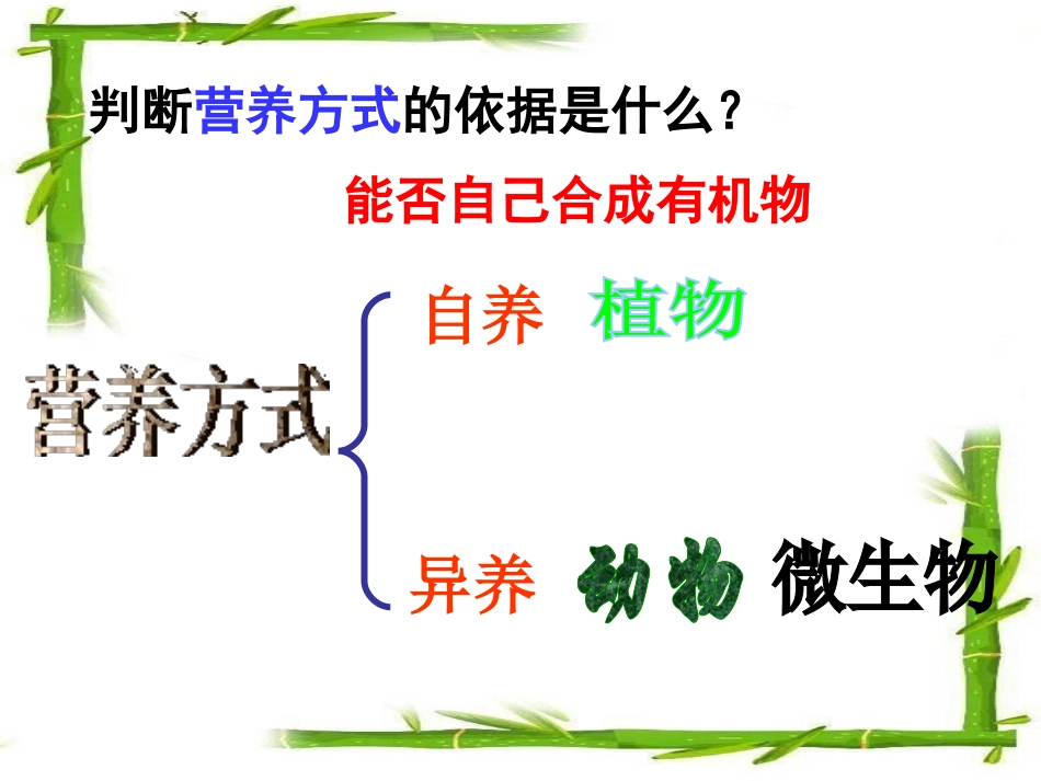 《细菌》细菌和真菌PPT课件[人教版八年级生物上册]_第3页