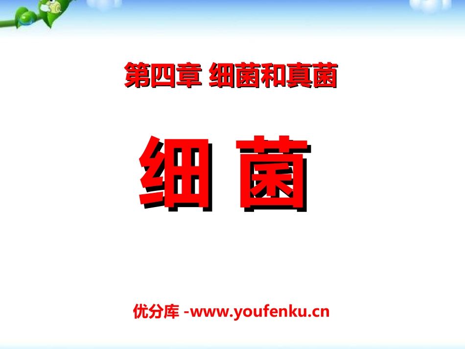 《细菌》细菌和真菌PPT课件[人教版八年级生物上册]_第1页