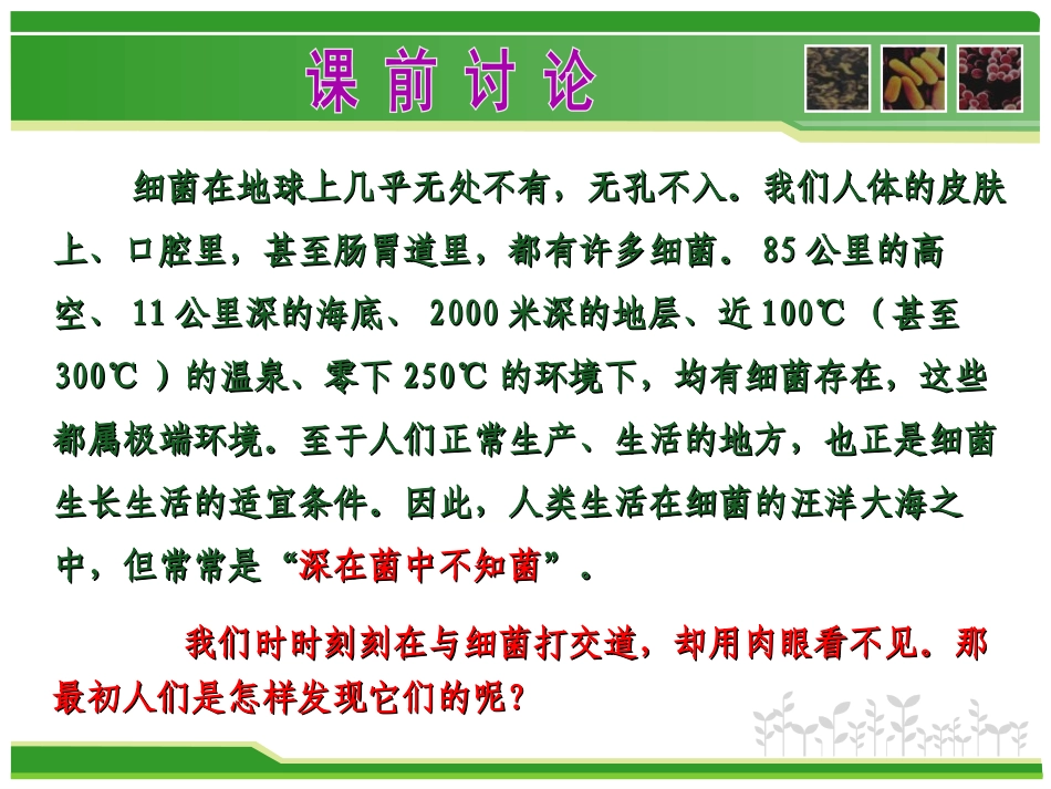 《细菌》细菌和真菌PPT课件[人教版八年级生物上册]_第2页