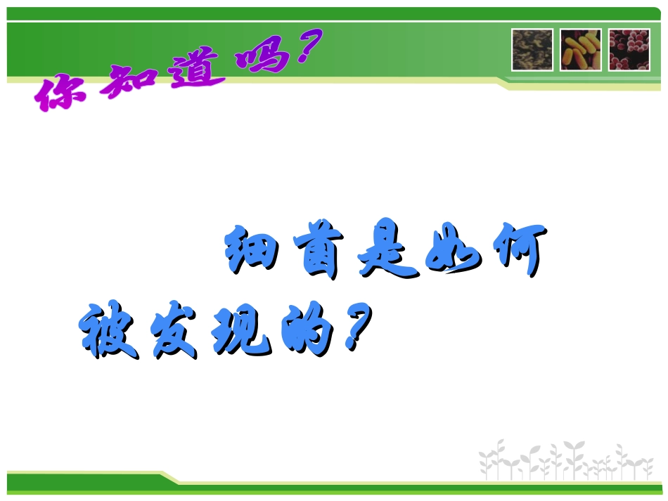 《细菌》细菌和真菌PPT课件[人教版八年级生物上册]_第3页