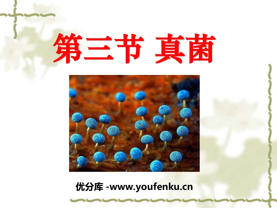 《真菌》细菌和真菌PPT课件[人教版八年级生物上册]_第1页