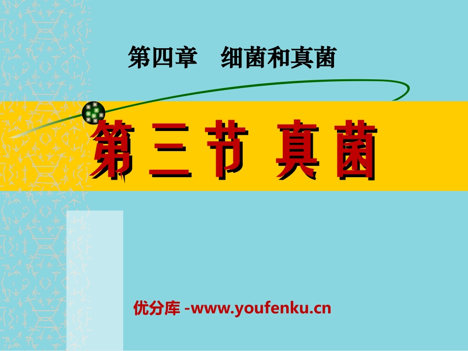 《真菌》细菌和真菌PPT课件[人教版八年级生物上册]_第1页