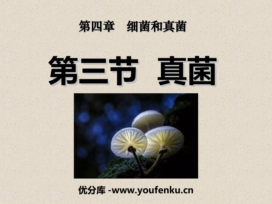 《真菌》细菌和真菌PPT课件[人教版八年级生物上册]_第1页