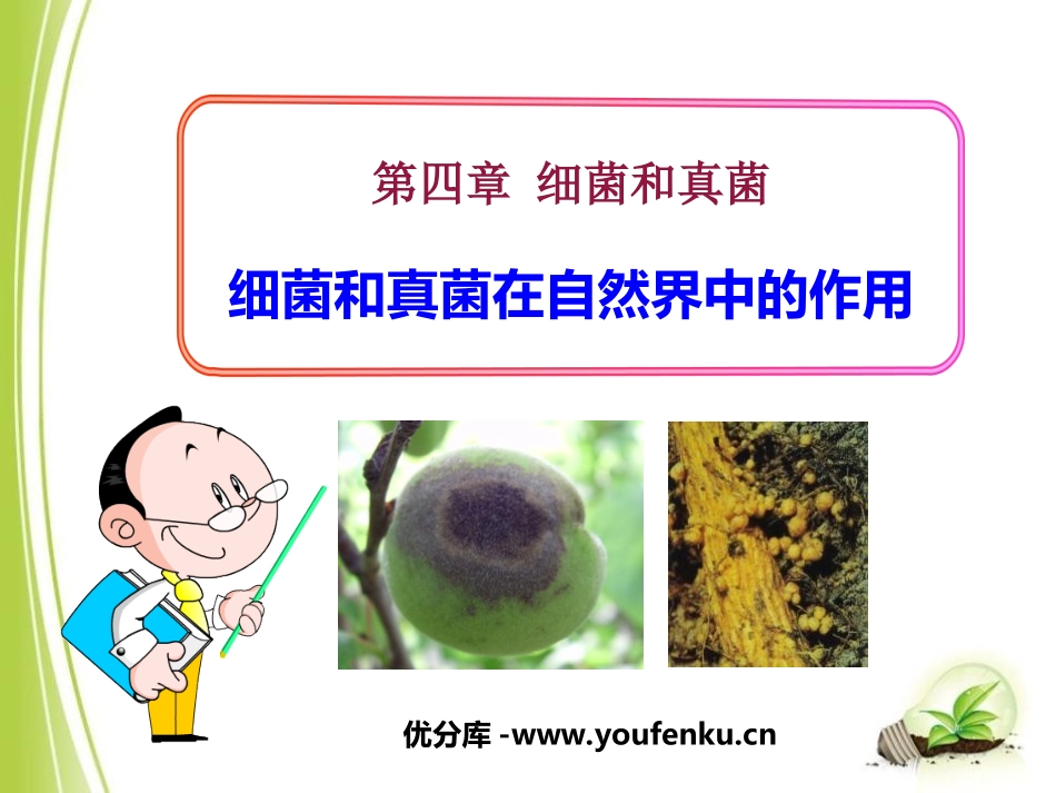 《细菌和真菌在自然界中的作用》细菌和真菌PPT课件_第1页
