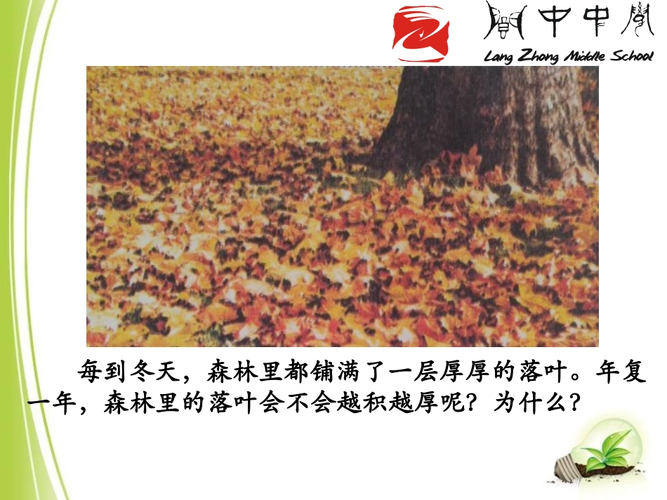 《细菌和真菌在自然界中的作用》细菌和真菌PPT课件_第2页
