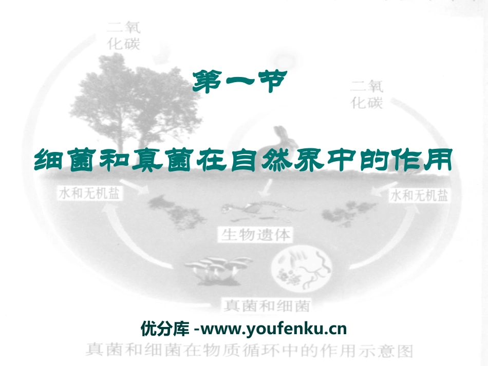 《细菌和真菌在自然界中的作用》细菌和真菌PPT课件_第1页