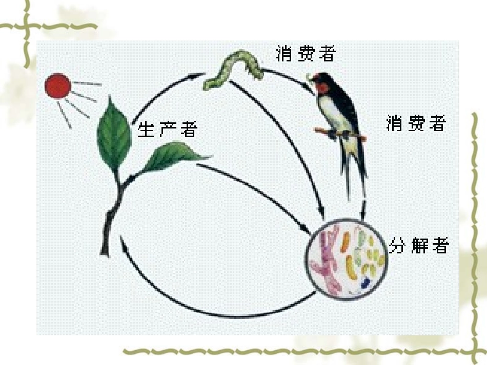 《细菌和真菌在自然界中的作用》细菌和真菌PPT课件_第2页