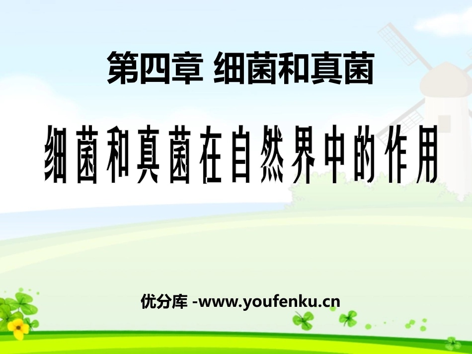 《细菌和真菌在自然界中的作用》细菌和真菌PPT课件_第1页