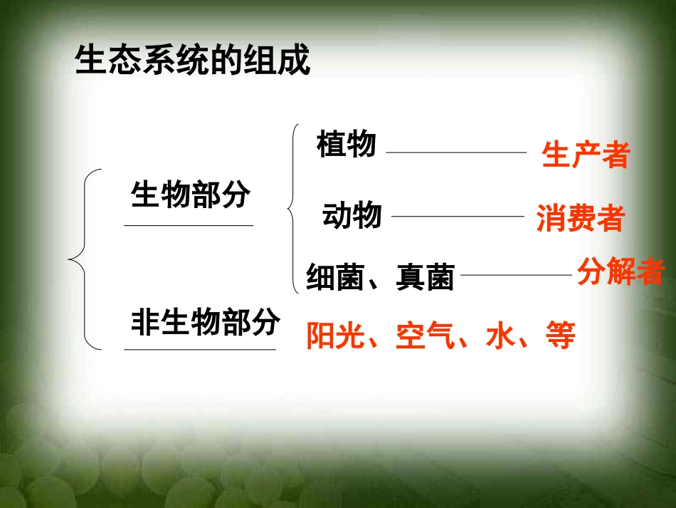 《细菌和真菌在自然界中的作用》细菌和真菌PPT课件_第3页