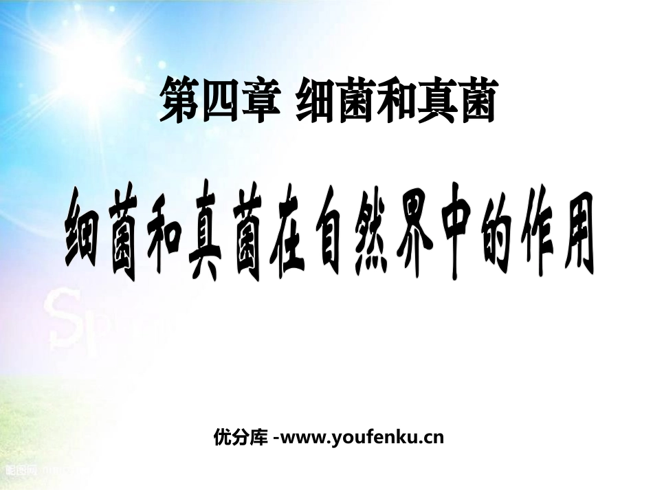 《细菌和真菌在自然界中的作用》细菌和真菌PPT课件_第1页
