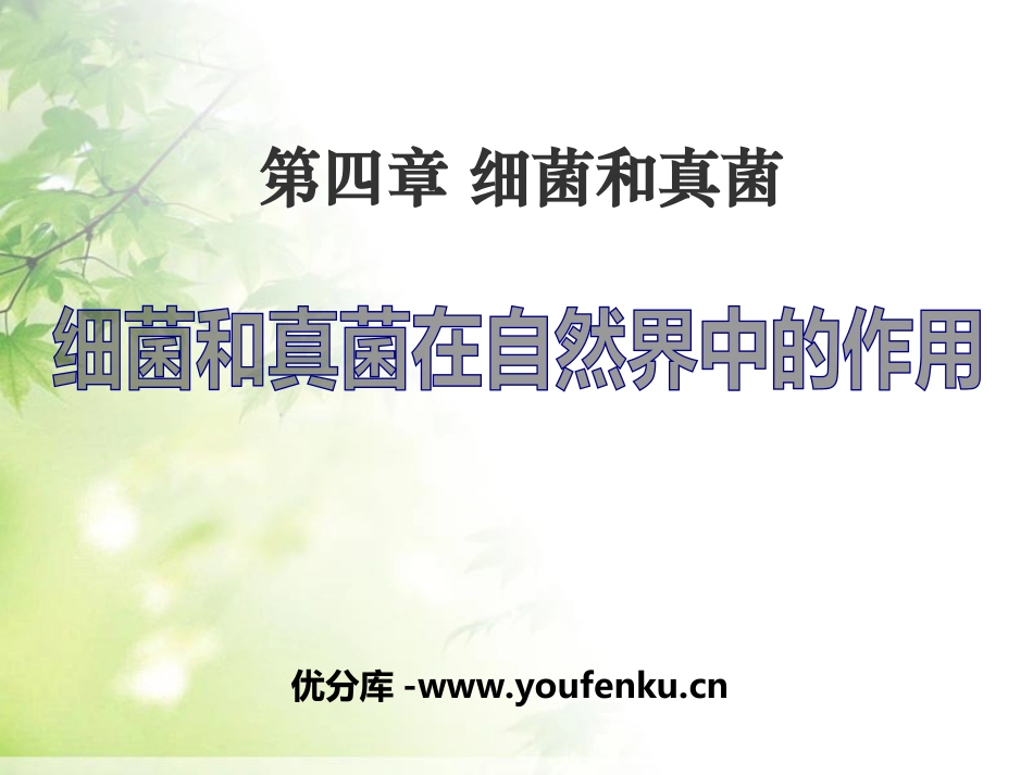《细菌和真菌在自然界中的作用》细菌和真菌PPT课件_第1页