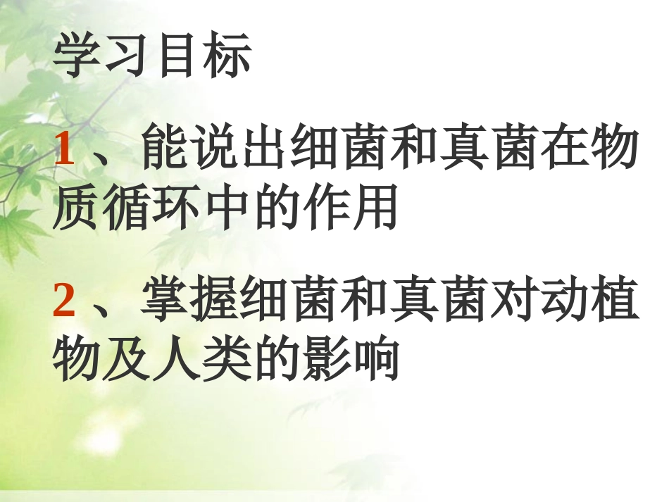 《细菌和真菌在自然界中的作用》细菌和真菌PPT课件_第2页
