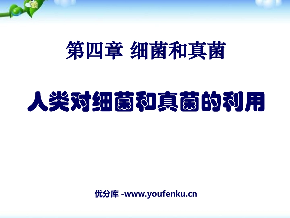 《人类对细菌和真菌的利用》细菌和真菌PPT课件[人教版八年级生物]_第1页