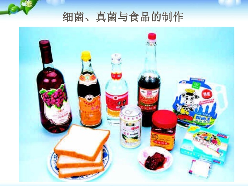 《人类对细菌和真菌的利用》细菌和真菌PPT课件[人教版八年级生物]_第2页