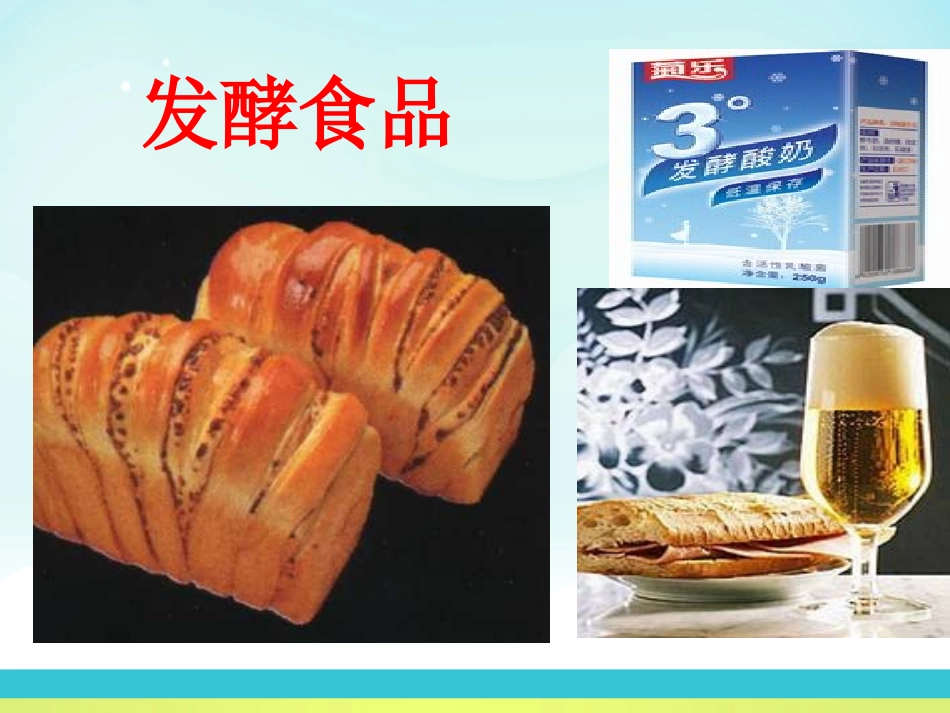 《人类对细菌和真菌的利用》细菌和真菌PPT课件[人教版八年级生物]_第2页