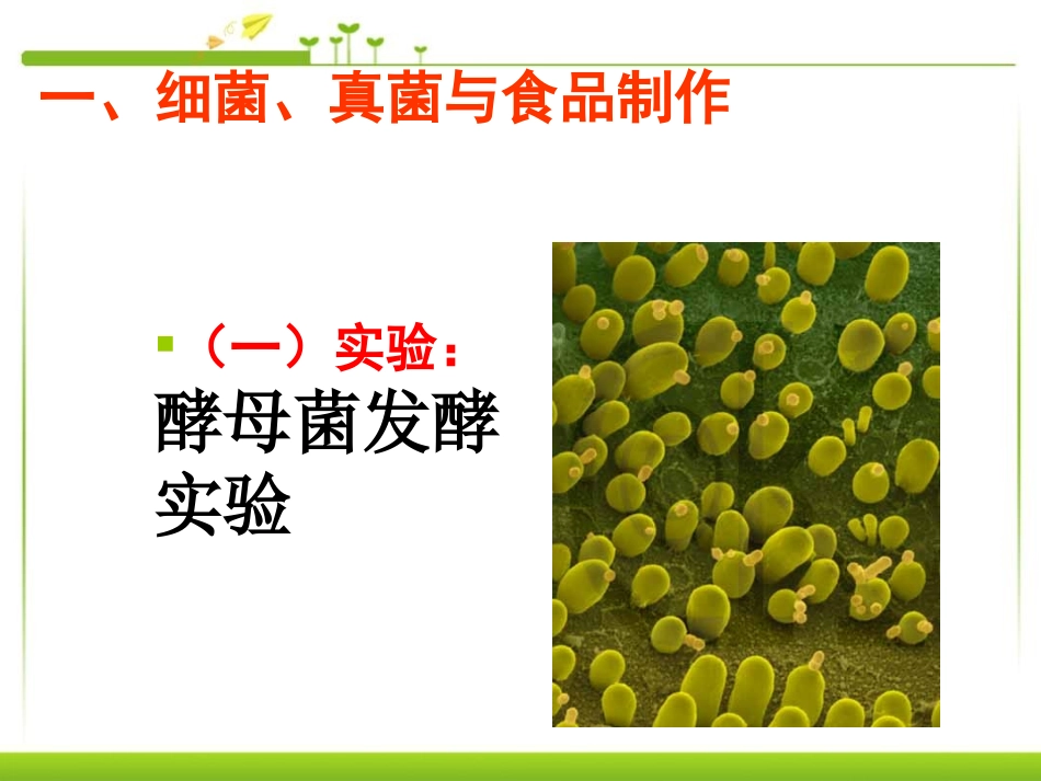 《人类对细菌和真菌的利用》细菌和真菌PPT课件[人教版八年级生物]_第3页