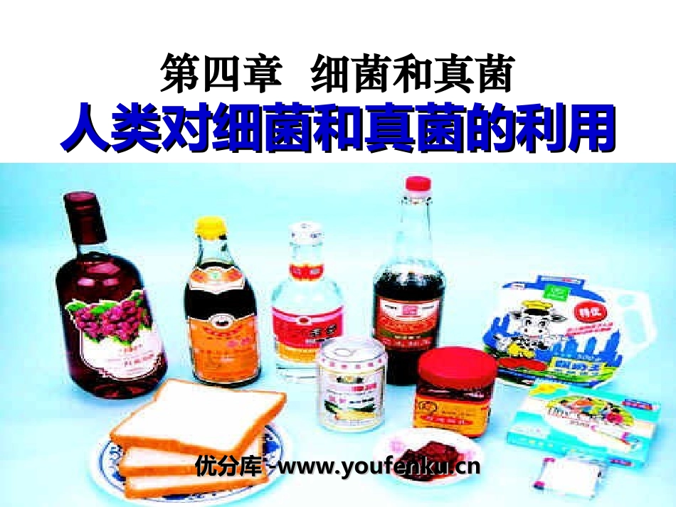 《人类对细菌和真菌的利用》细菌和真菌PPT课件[人教版八年级生物]_第1页