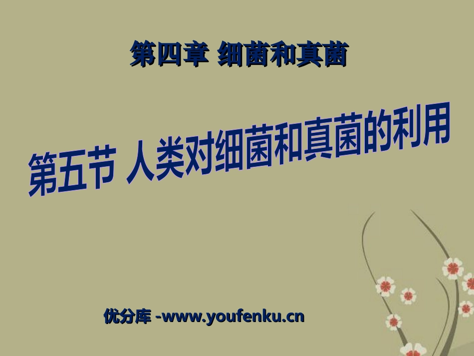 《人类对细菌和真菌的利用》细菌和真菌PPT课件[人教版八年级生物]_第1页