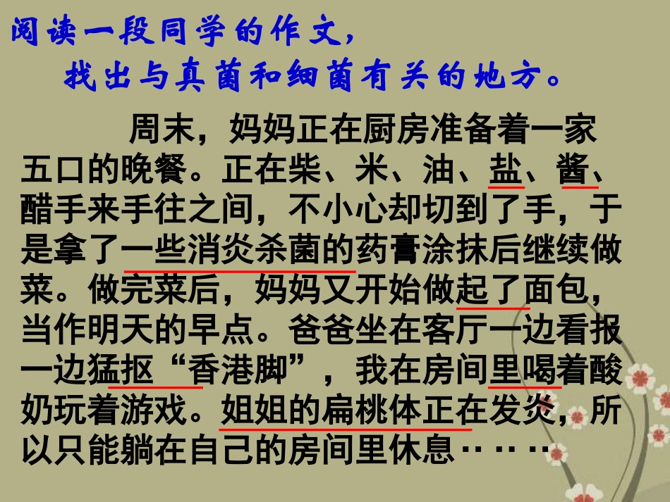 《人类对细菌和真菌的利用》细菌和真菌PPT课件[人教版八年级生物]_第2页