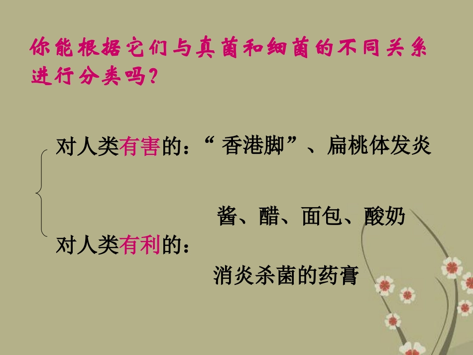 《人类对细菌和真菌的利用》细菌和真菌PPT课件[人教版八年级生物]_第3页