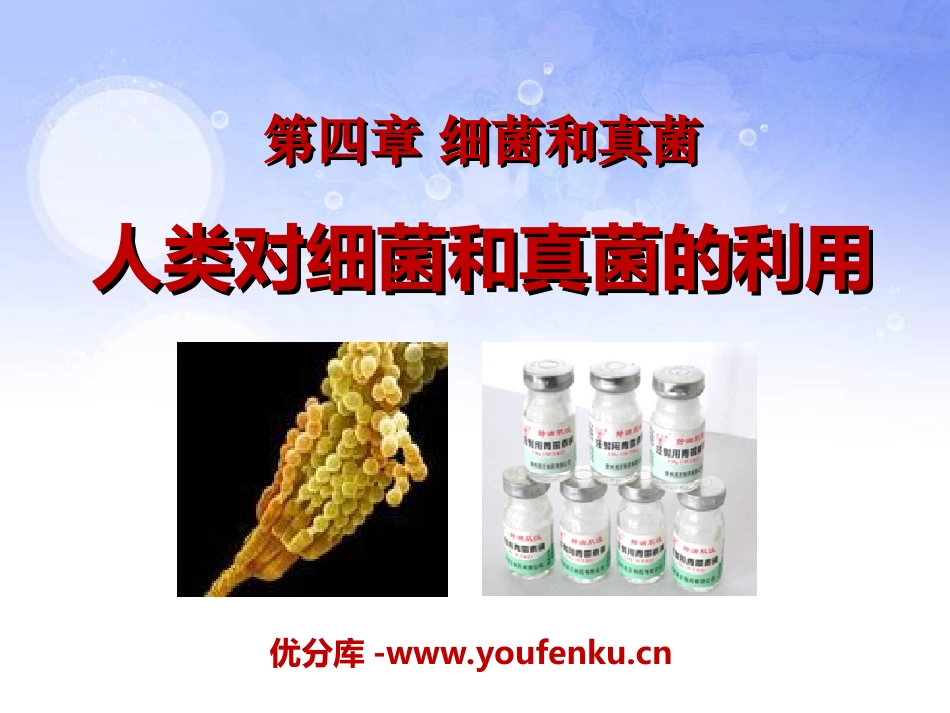 《人类对细菌和真菌的利用》细菌和真菌PPT课件[人教版八年级生物]_第1页