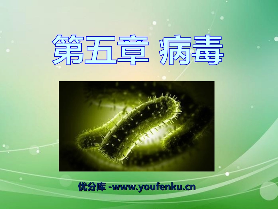 《病毒》PPT课件[人教版八年级生物上册]_第1页